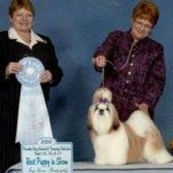 Meet your Posher, Coralee - Picture 1 of 1